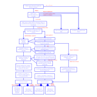 CEQA Process Flow Chart 流程图模板_ProcessOn思维导图、流程图